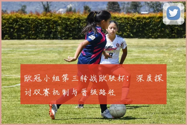 欧冠小组第三转战欧联杯：深度探讨双赛机制与晋级路径