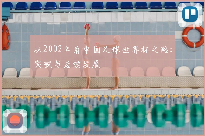 从2002年看中国足球世界杯之路：突破与后续发展