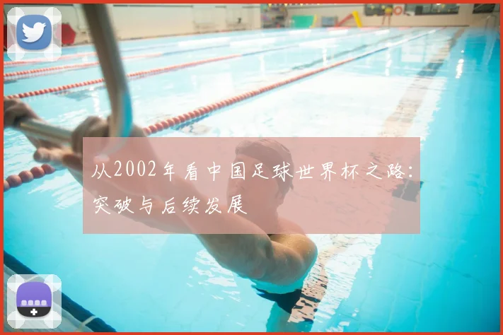 从2002年看中国足球世界杯之路：突破与后续发展
