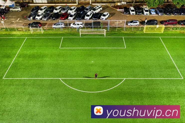 爱游戏ayx官网最新版平台生态图